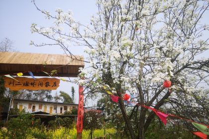 刘二姐休闲农庄·柴火鸡