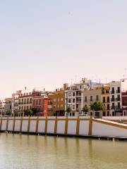 Triana