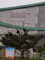Weifang City Planning Art Center