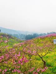 Taohuayuan (“Peach Blossom Land”)