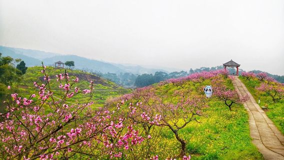 Taohuayuan (“Peach Blossom Land”)