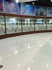 Neheshi Museum