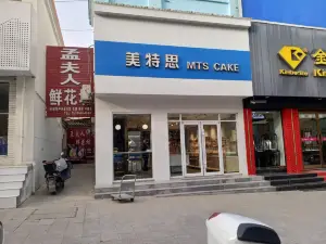 Meitesi (xinyangjie)