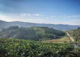 경마이 천만무의 고대 차원