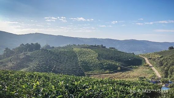 Jingmaigucha Mountain