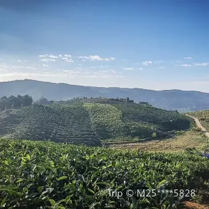 Jingmaigucha Mountain