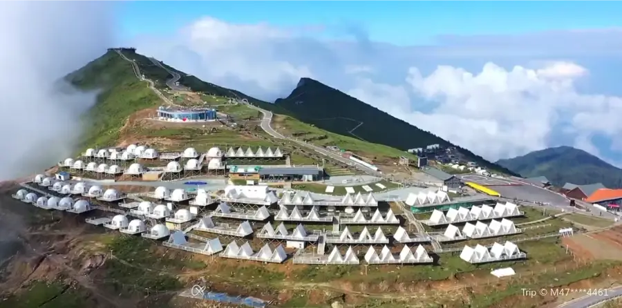 牛背山星雲露營地