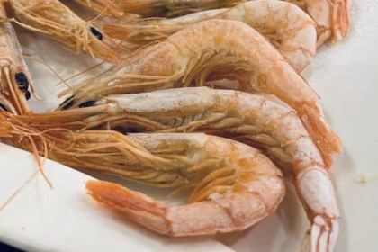 La Nueva Venencia de La Fontanilla