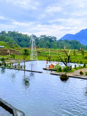 Wisata Sawah Sumber Gempong