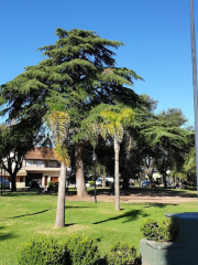 Plaza General Pacheco