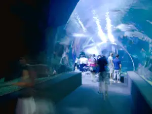 Ocean World
