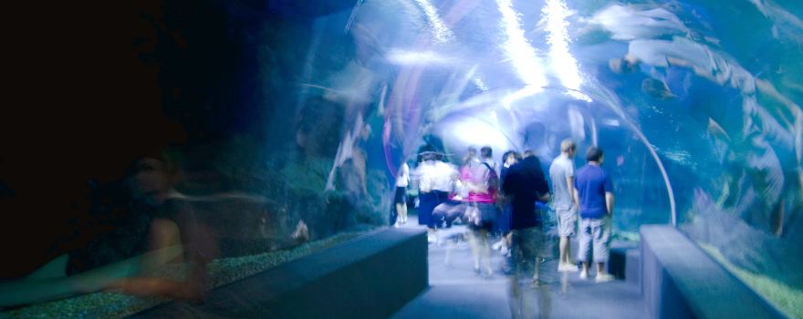 Ocean World