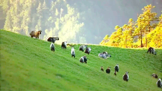 Tangjiahe National Nature Reserve