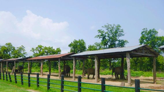 Elephant Breeding Center