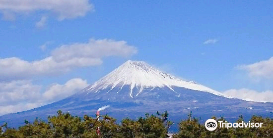 Fujinokuni Tagonoura Minato Park