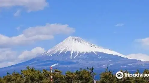 Fujinokuni Tagonoura Minato Park