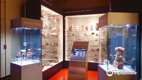 Presley Norton Museum