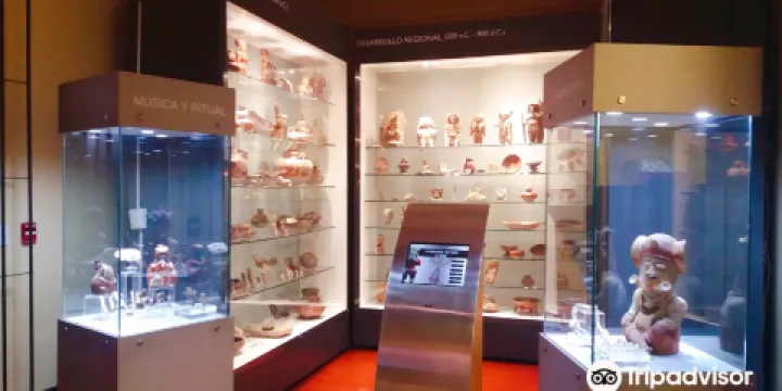 Presley Norton Museum