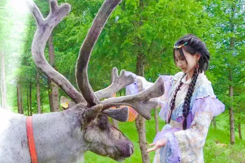 어원크 순록 부족