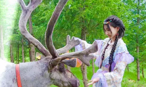 Reindeer Tribe
