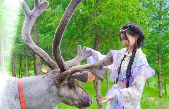 鄂温克馴鹿部落門票成人