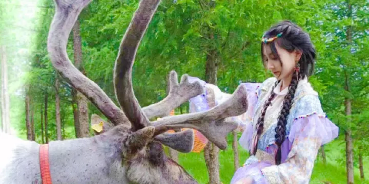 鄂温克馴鹿部落