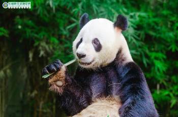 Popular Best Things to Do in Guangzhou