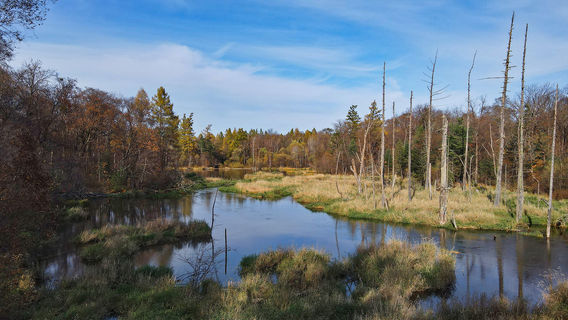 Devildom Scenery Area