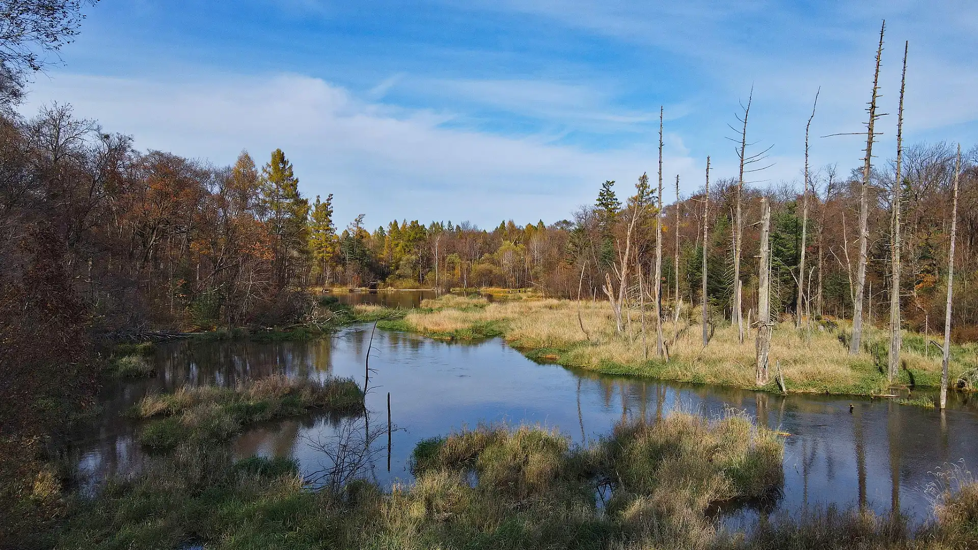 鄰近魔界風景區的酒店