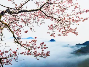 무공산풍경구