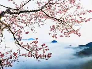 萍郷の人気春旅におすすめ