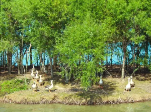 Yellow River Mouth Eco-Tourism Area