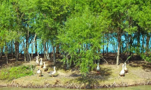 Yellow River Mouth Eco-Tourism Area