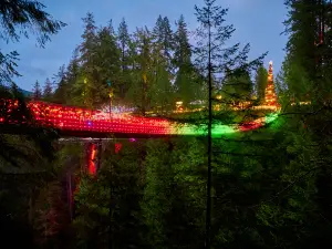 Top 10 Night Attractions in Greater Vancouver