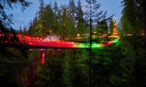 Ponte sospeso di Capilano