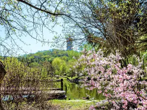 Jingyue Lake
