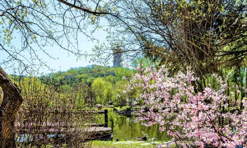 Jingyue Lake