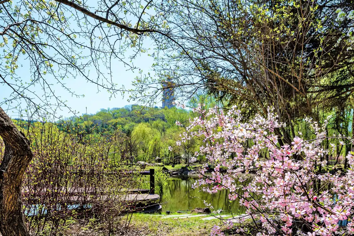 Hotels near Jingyue Lake