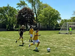 Nido Aguila Chicago