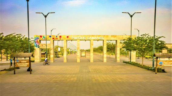 Samanes Park