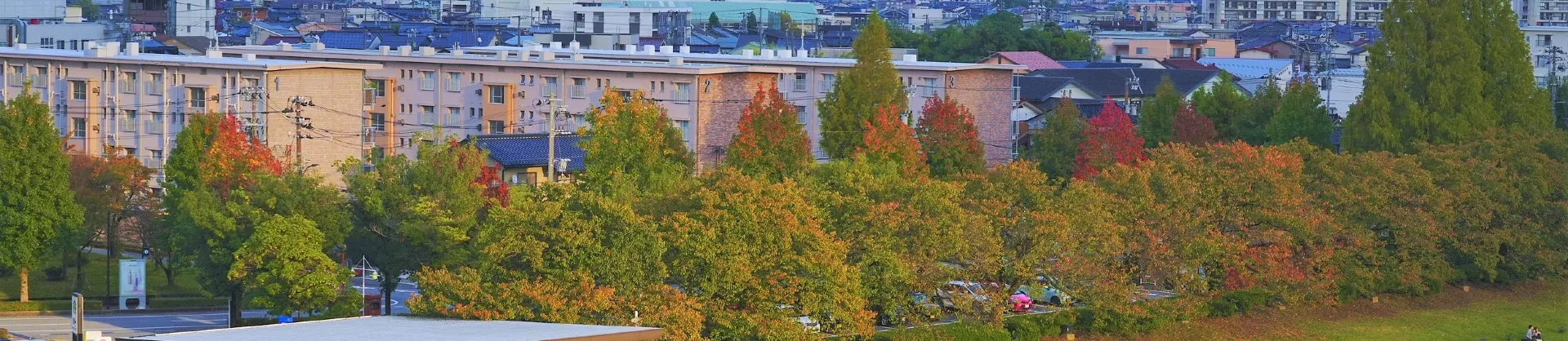 Fall Viewing Attractions