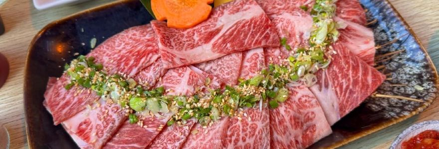 Grillicious Japanese BBQ