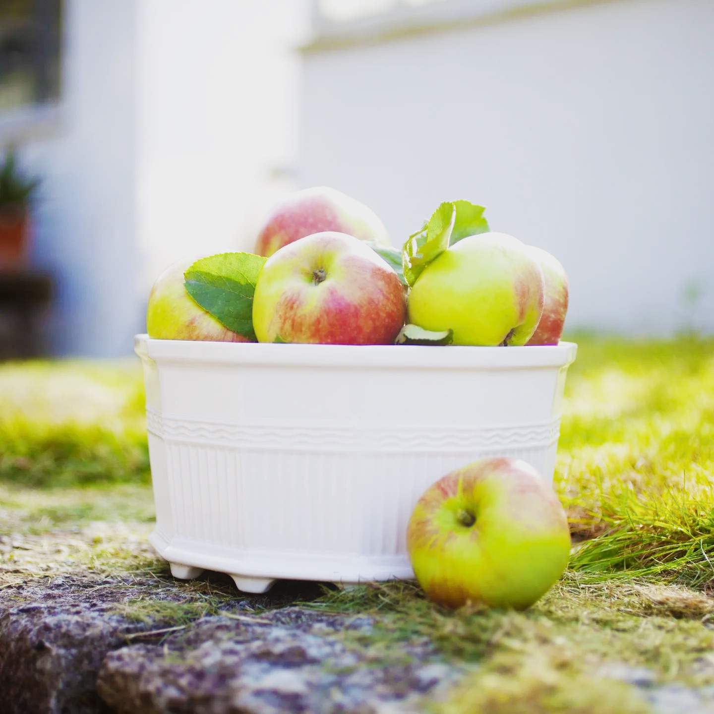 Apple Festival at Djurgården | Stockholm