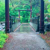 岐阜　サービスエリアのテーマパーク