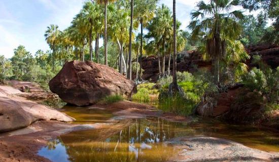 Olive Pink Botanic Garden