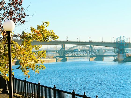 橘子洲大橋