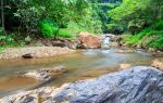 Tonglingshan National Forest Park