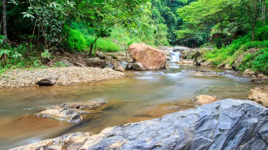 Tonglingshan National Forest Park