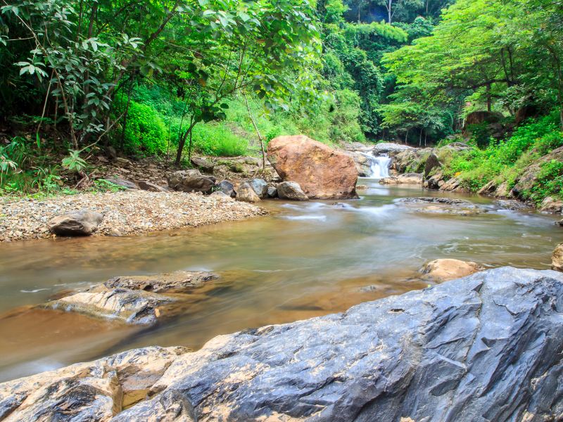 Tonglingshan National Forest Park