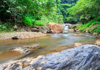 Nanxi River Scenic Area